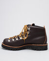 Danner-Boots-Mountain-Light-Brown-30866-3